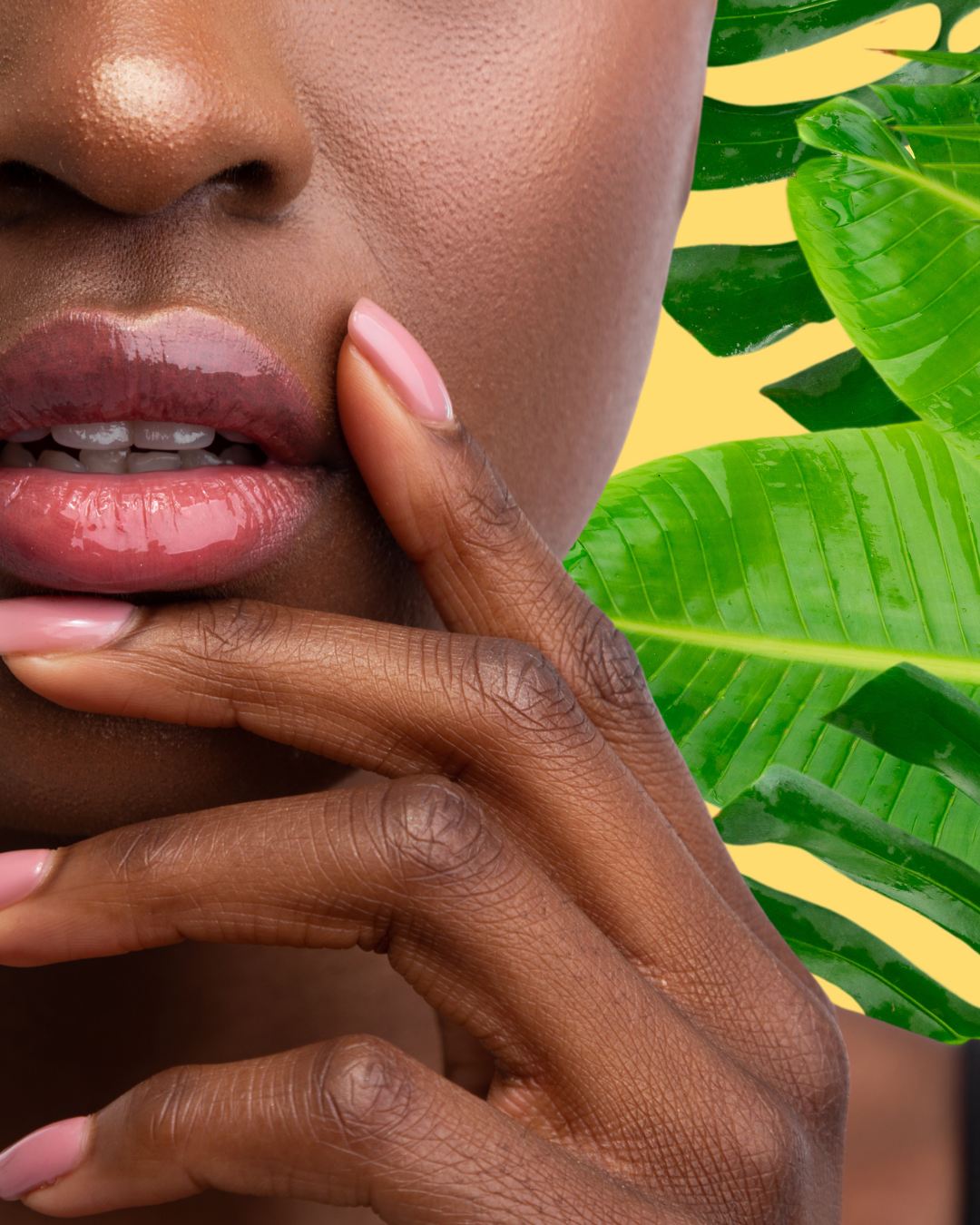 Shea Butter Lip Balm (10ml)